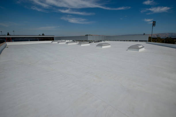 Best Skylight Installation and Repair  in Forest Hills, TN