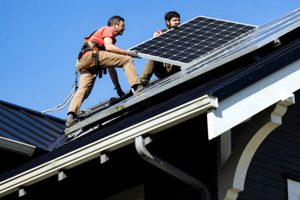 Best Sheet Metal Roofing  in Forest Hills, TN