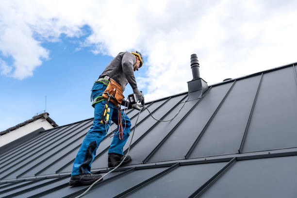 Best Roof Ventilation Installation  in Forest Hills, TN
